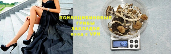 СК Арсеньев