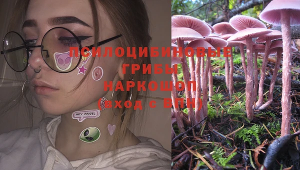прущая мука Армянск
